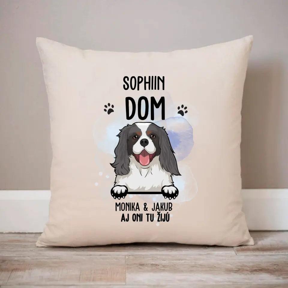 DOM. Aj oni tu žijú