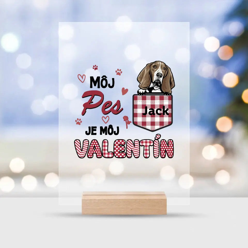 Môj pes je môj Valentín