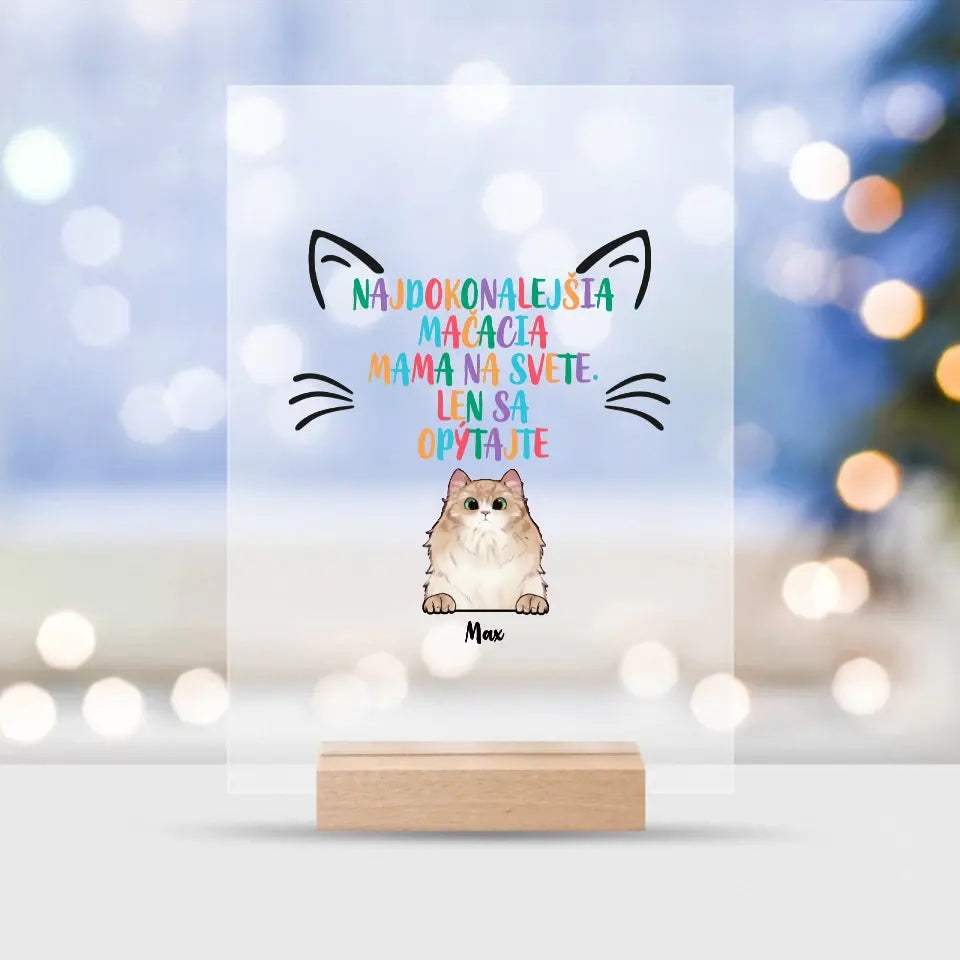 Najdokonalejšia mačacia mama na svete. Len sa opýtajte