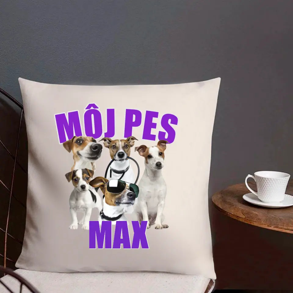 MÔJ PES