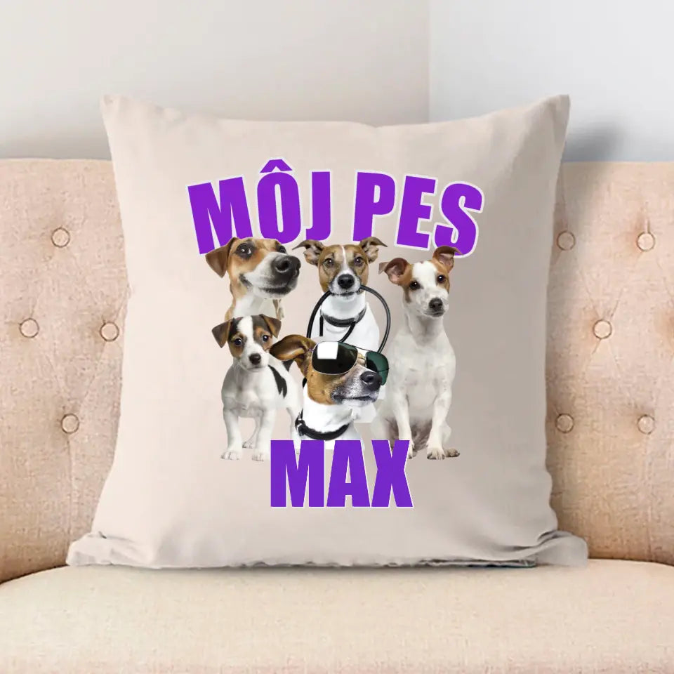 MÔJ PES