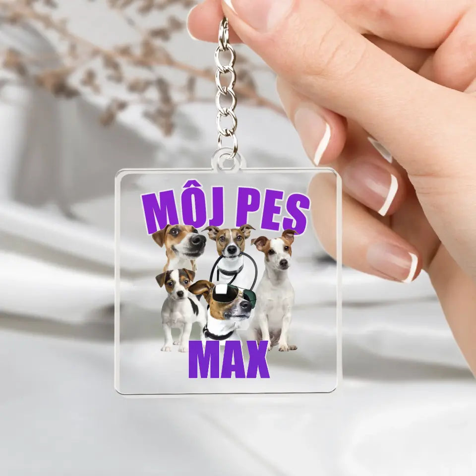 MÔJ PES