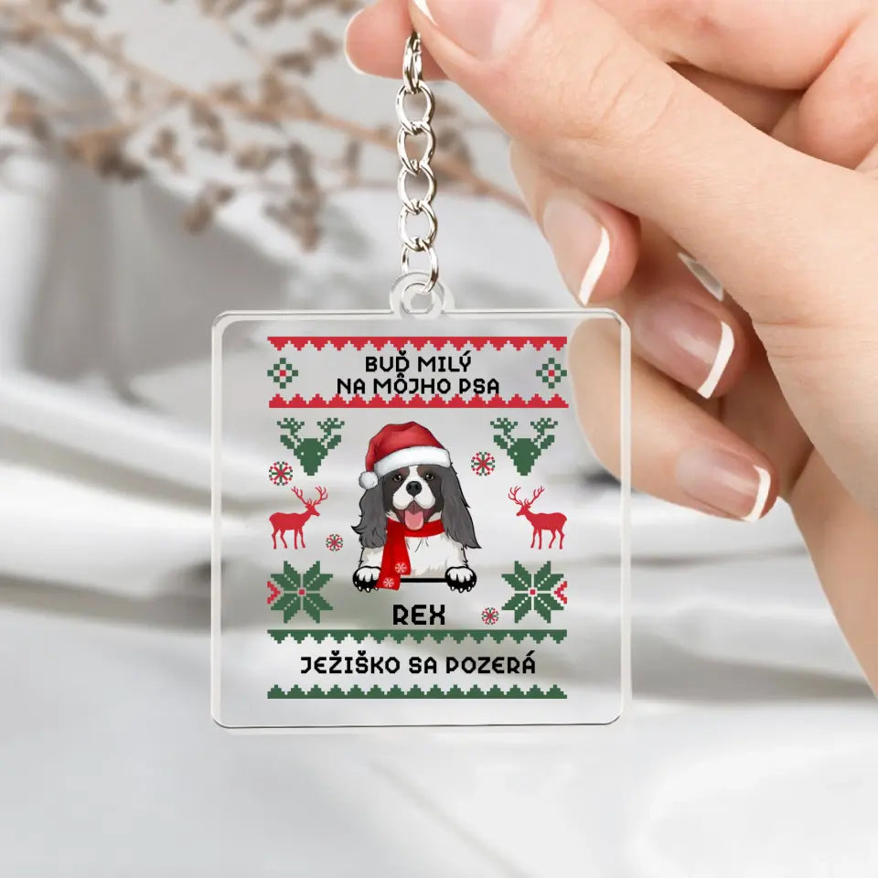 BUĎ MILÝ NA MÔJHO PSA. JEŽIŠKO SA POZERÁ