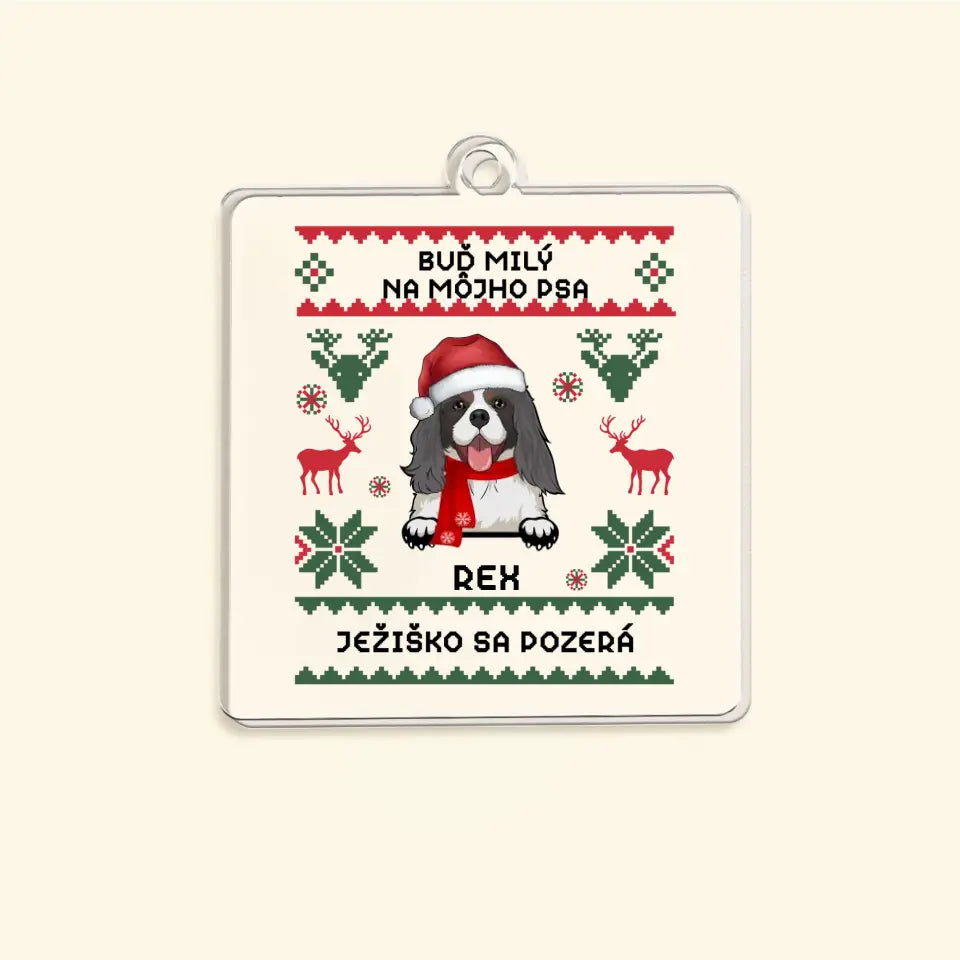 BUĎ MILÝ NA MÔJHO PSA. JEŽIŠKO SA POZERÁ