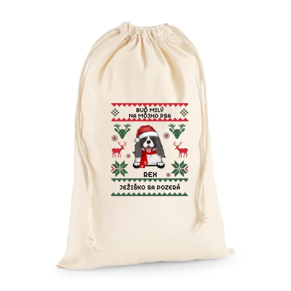 BUĎ MILÝ NA MÔJHO PSA. JEŽIŠKO SA POZERÁ