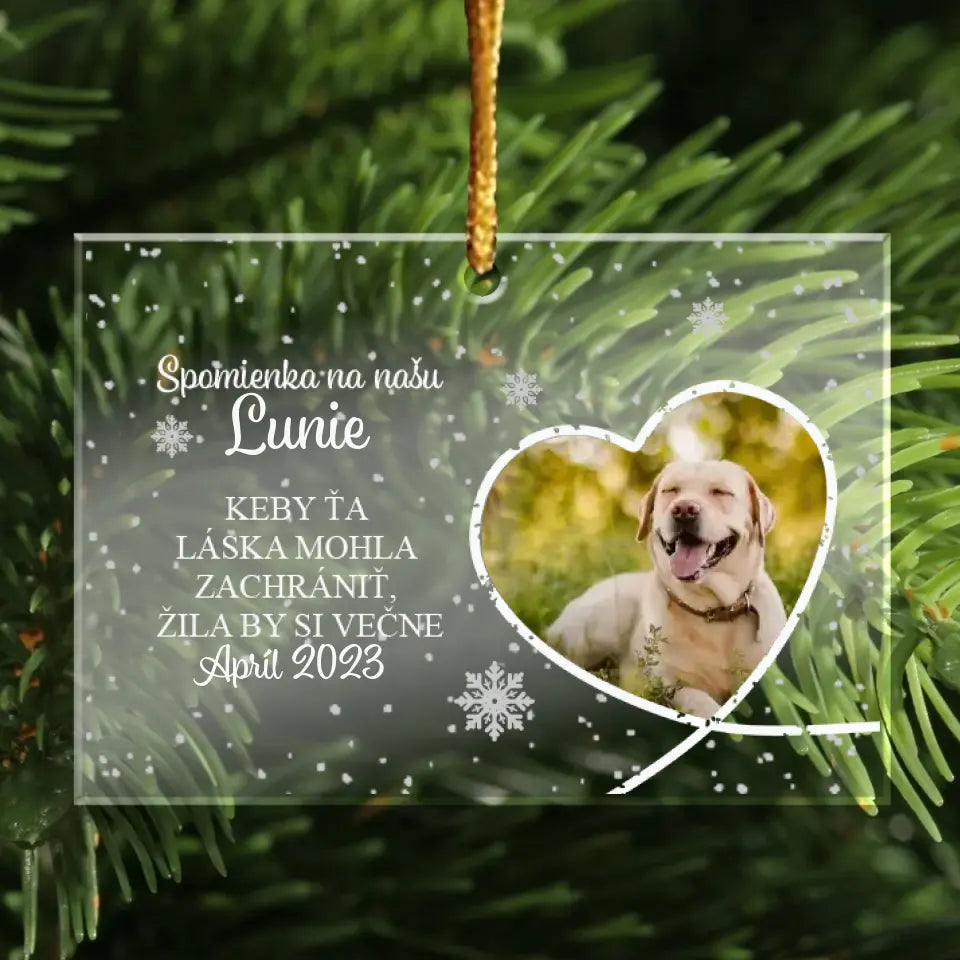 Ak by vás láska mohla zachrániť, žili by ste večne