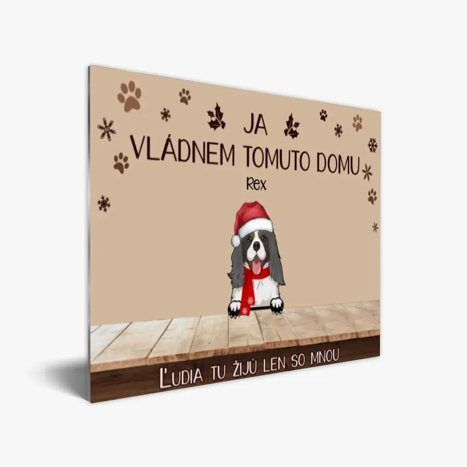 Vládneme tomuto domu