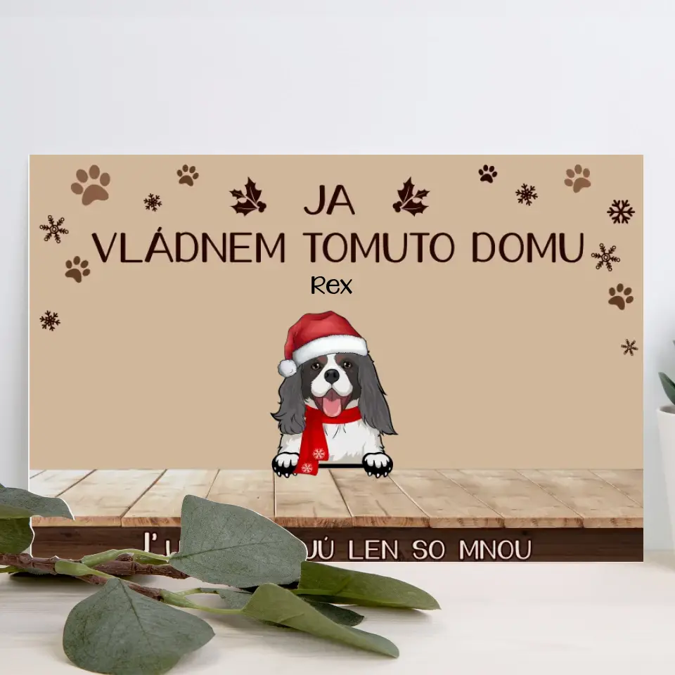 Vládneme tomuto domu