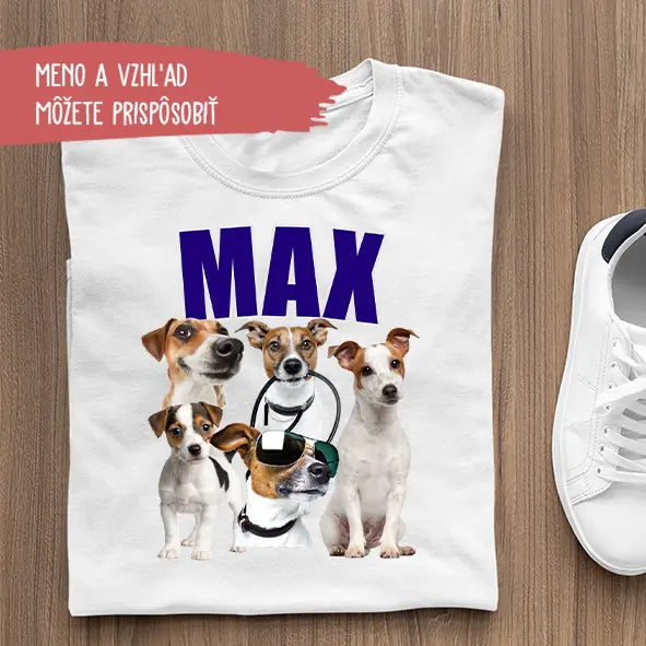 Môj domáci miláčik