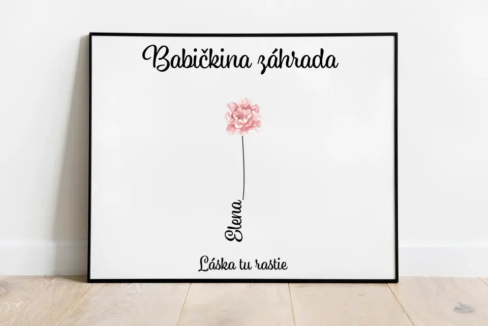 Darček - Babičkina záhrada