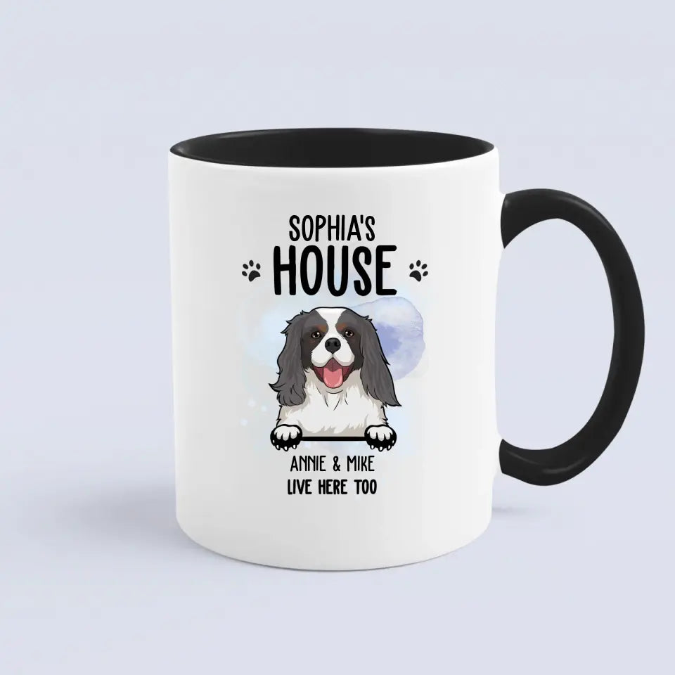 Dog House