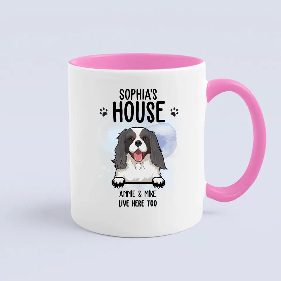 Dog House