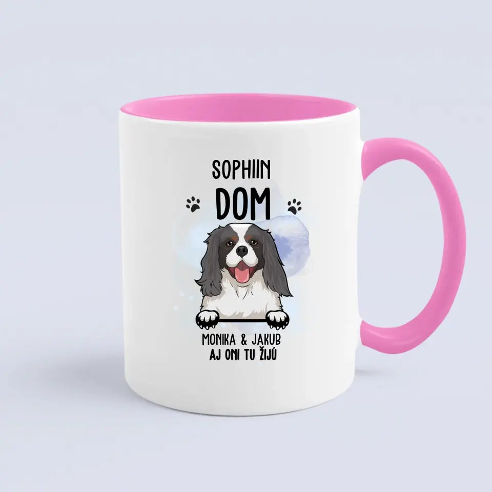 DOM. Aj oni tu žijú