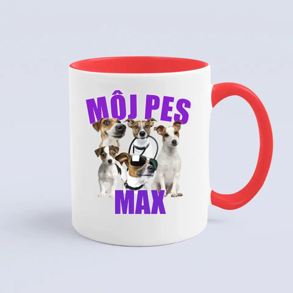 MÔJ PES