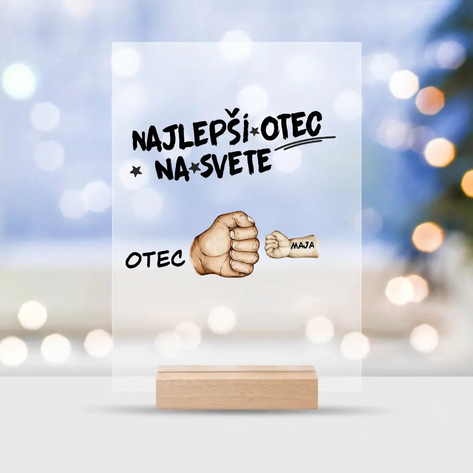 Najlepší otec na svete