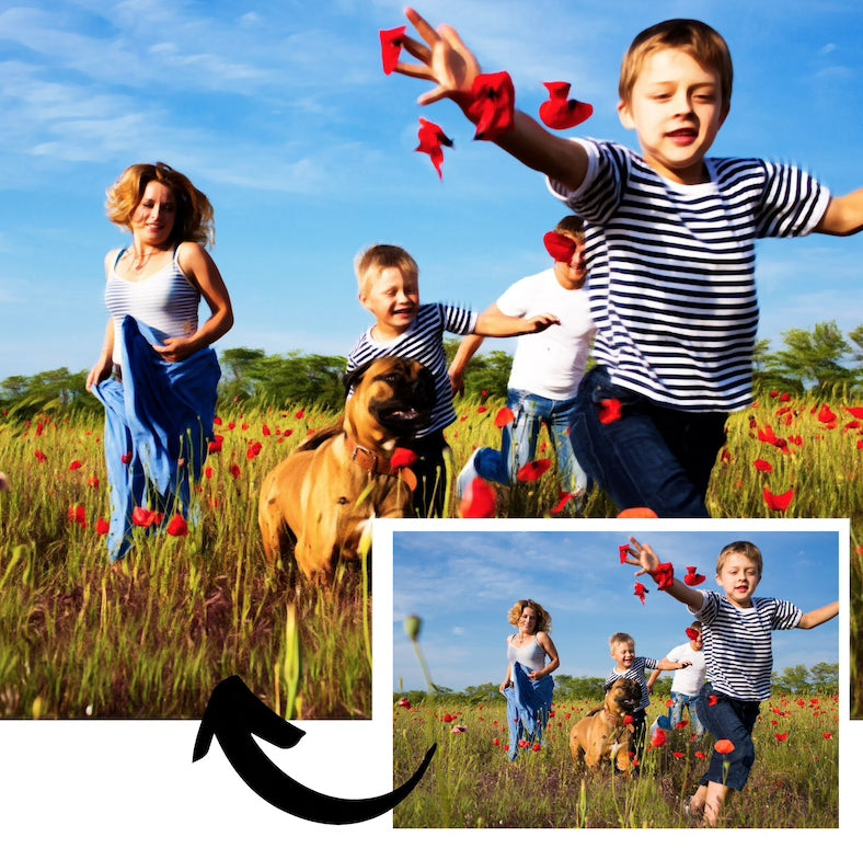 Obrázok z Vlastnej Fotografie