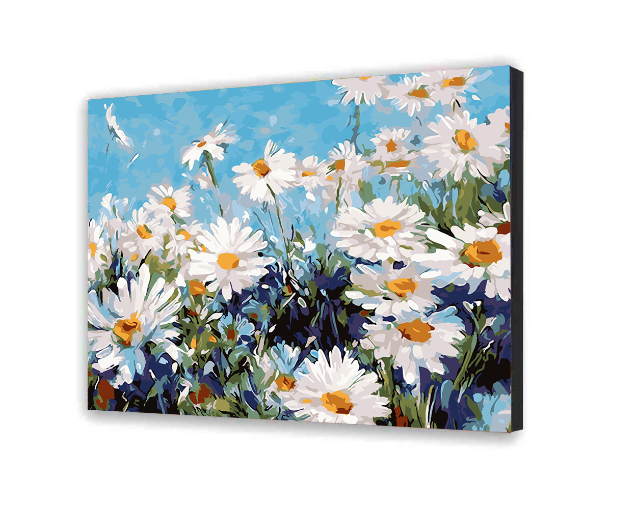 Malovanie podla cisel - Harmančekové Pole