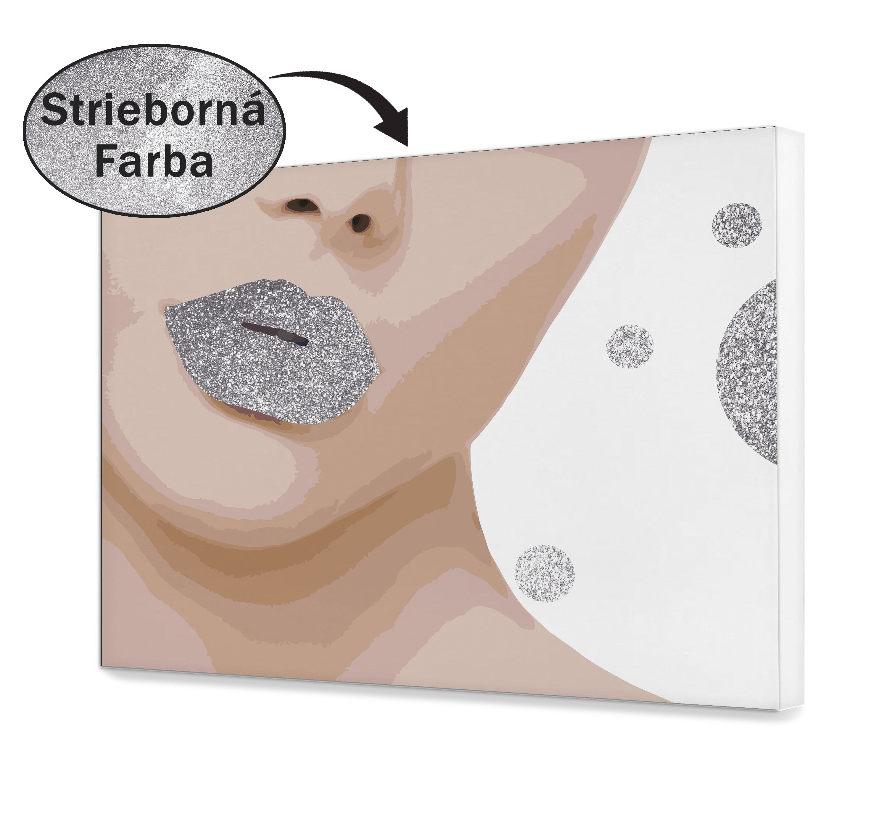 Malovanie podla cisel - Strieborné pery