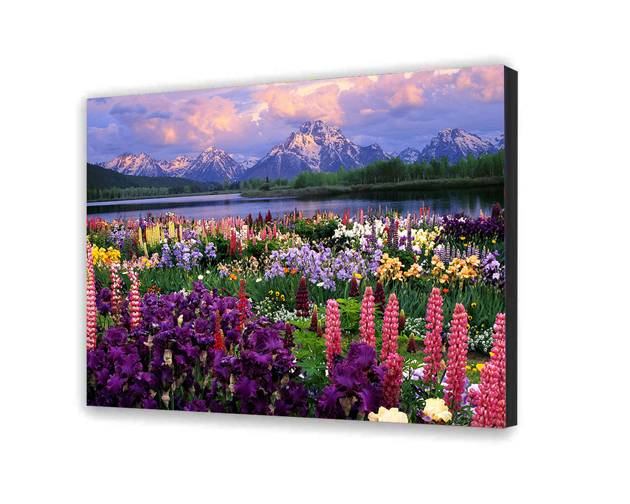 Malovanie podla cisel - Horské Kvety