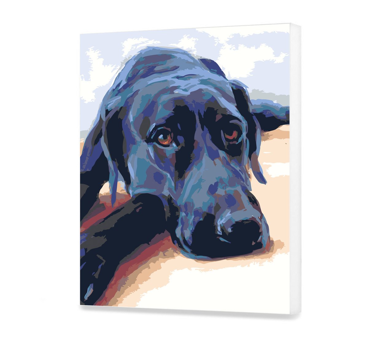 Maľovanie podľa cisel - Čierny Pes