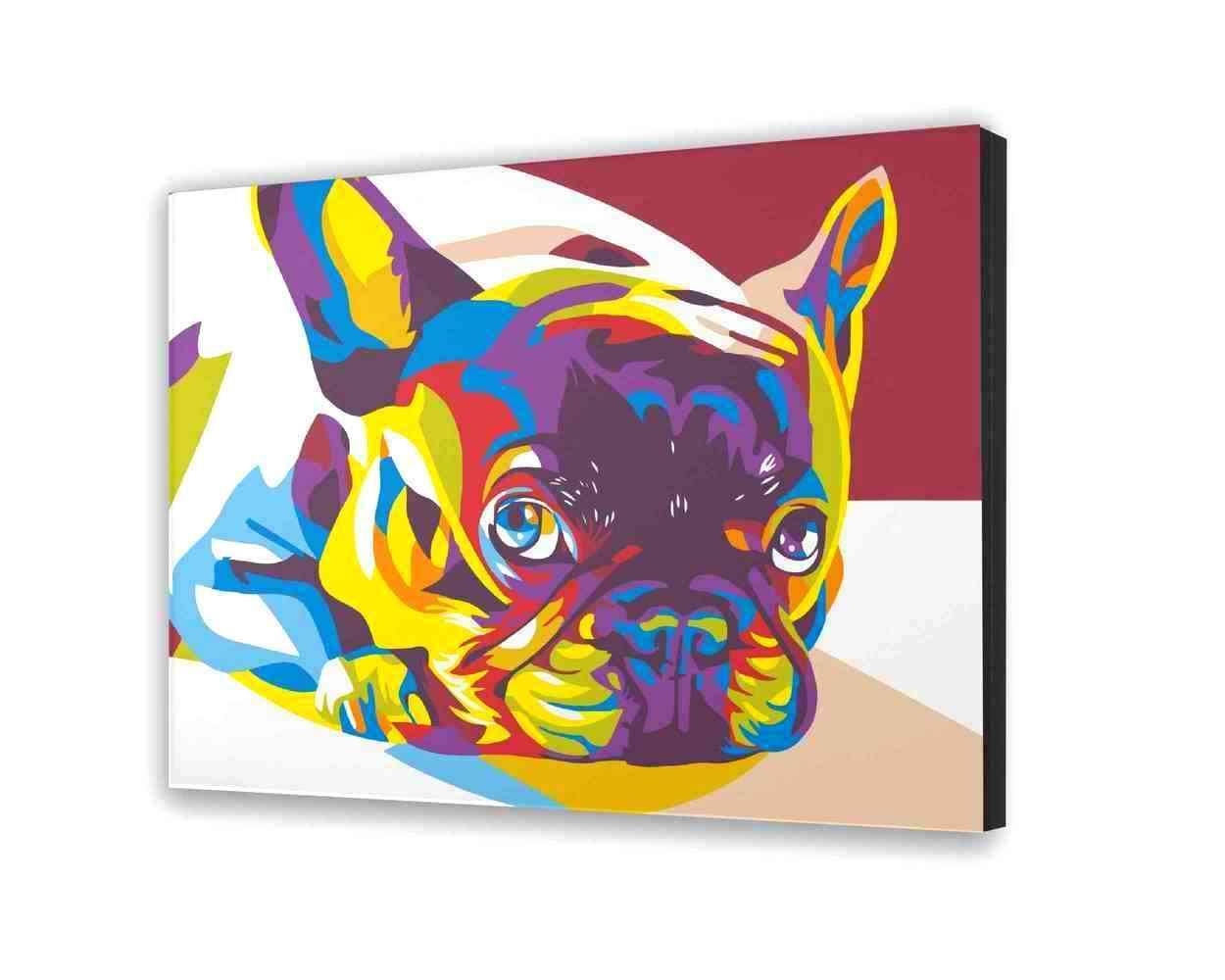 Plátno podľa čísla - Chladiaci Farebný Pes