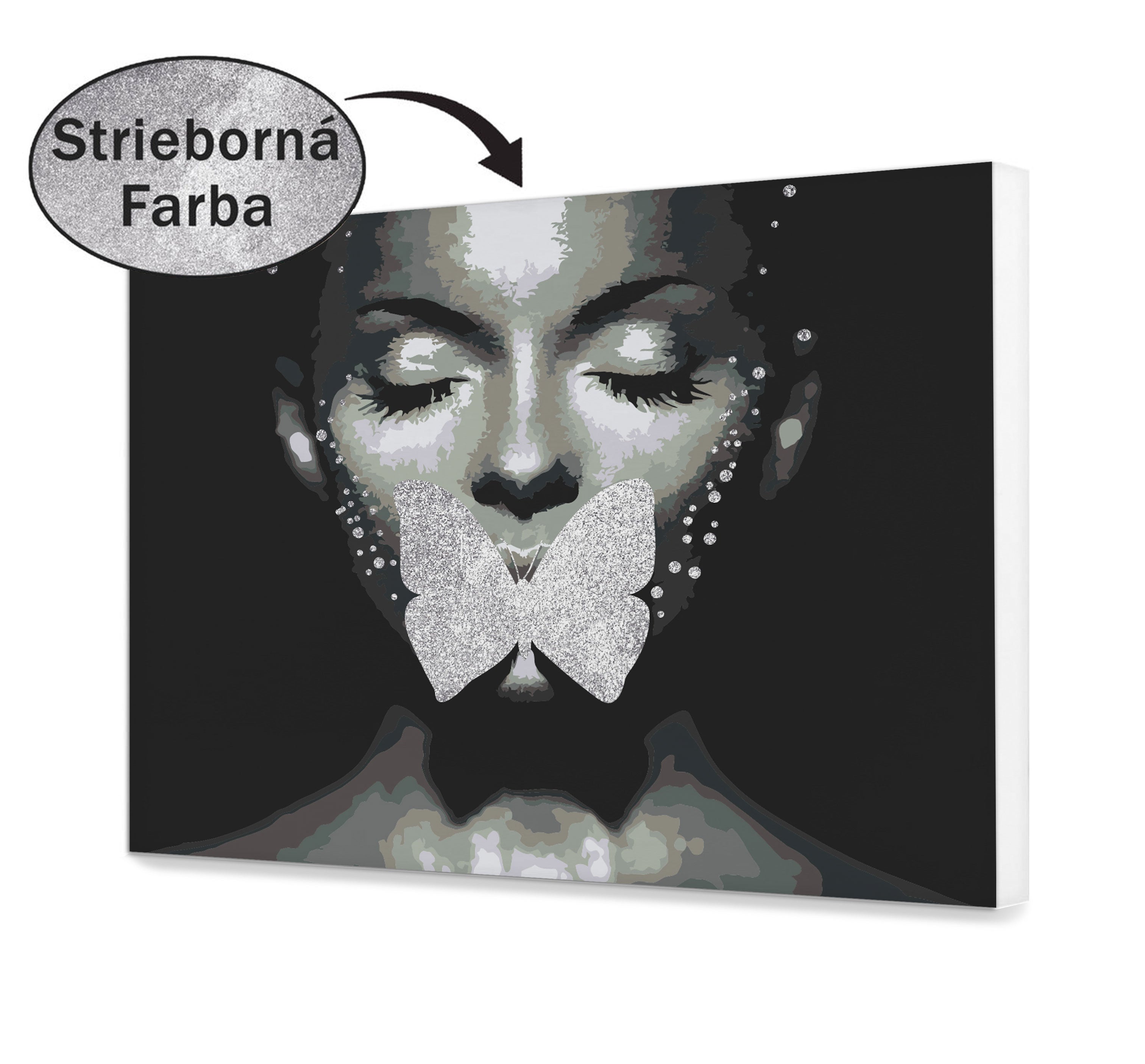 Malovanie podla cisel - Motýlik so striebornými perami