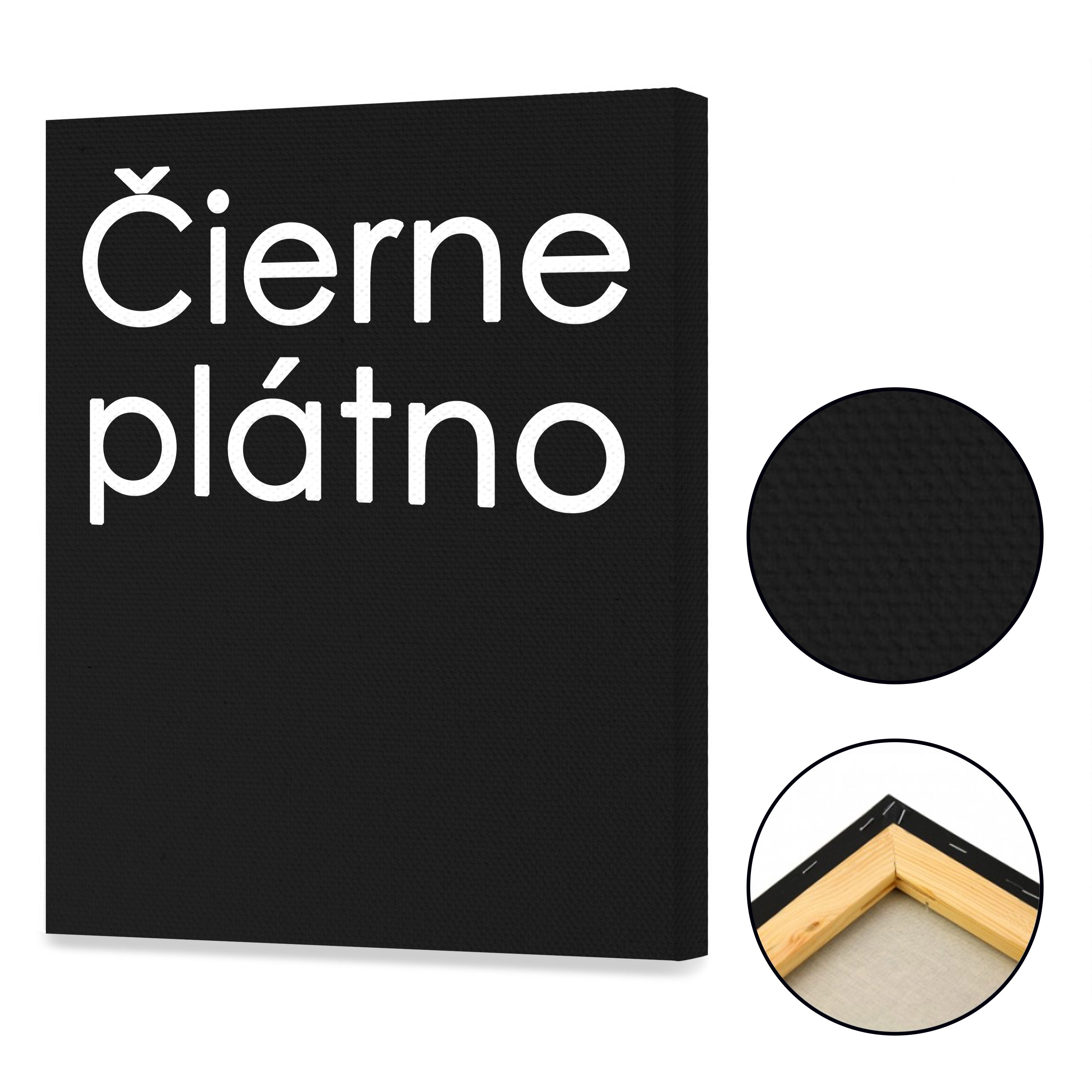 Ružový Plameniak (GA0488)