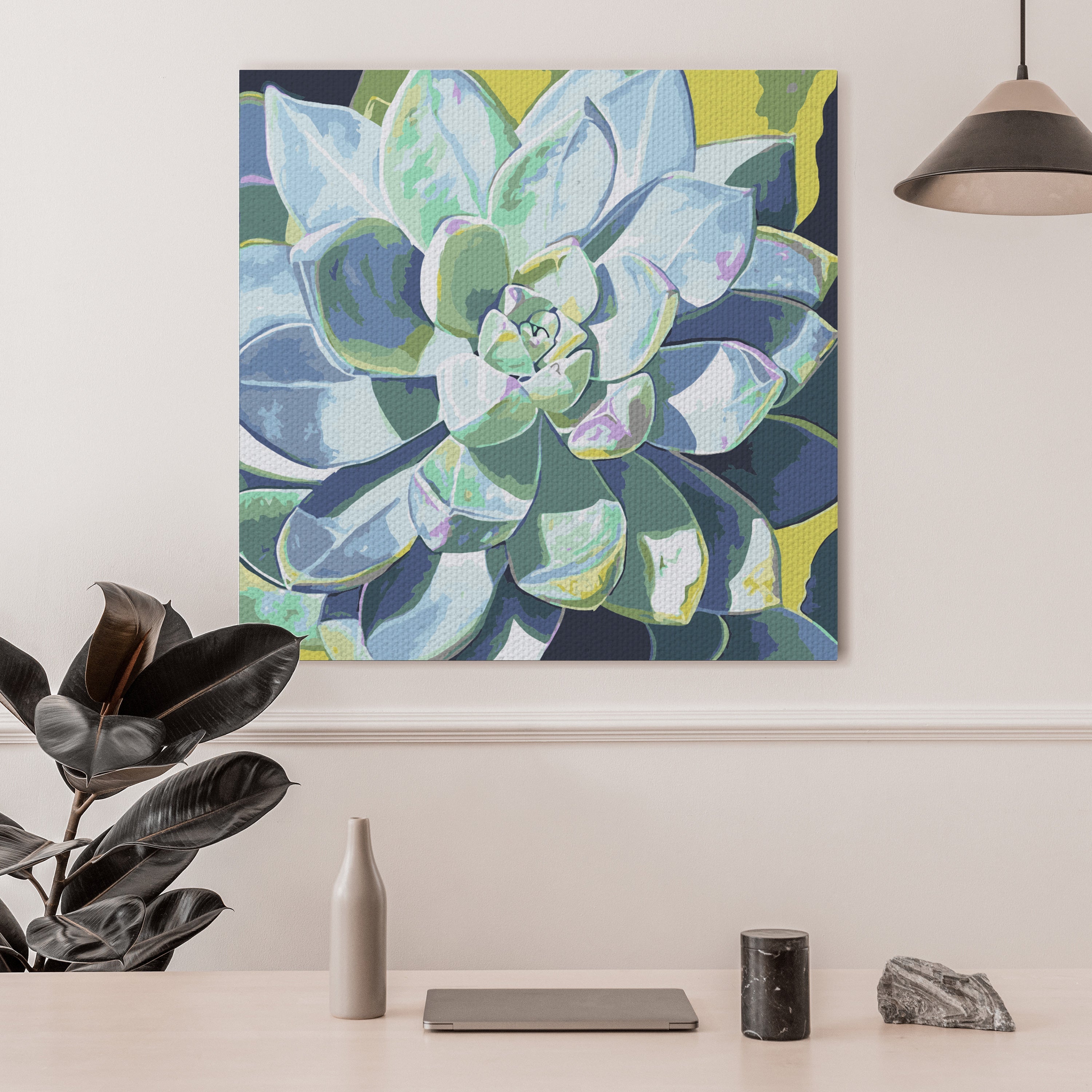 Sukulentná rastlina