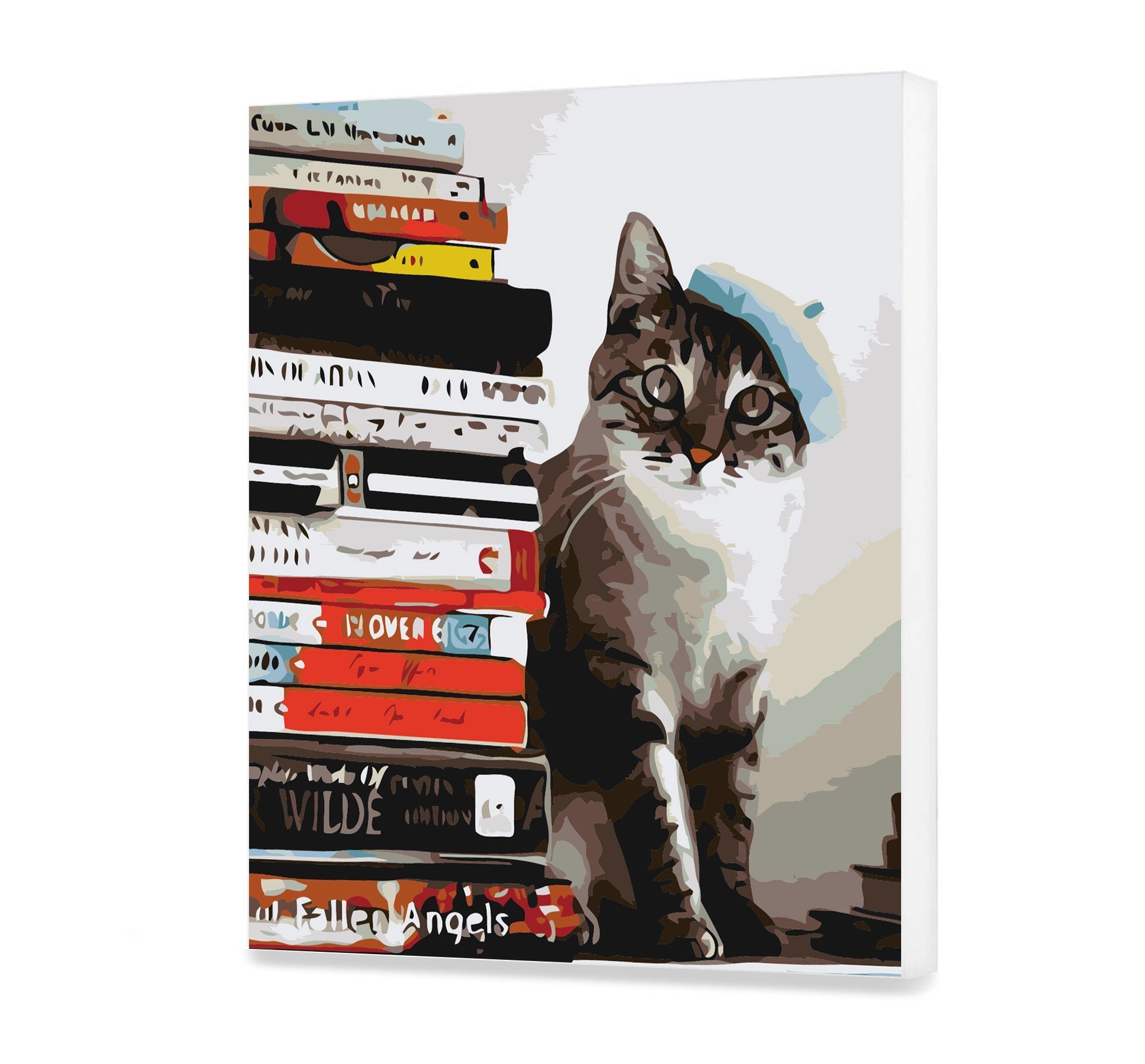 Mačka a knihy (SC0737)