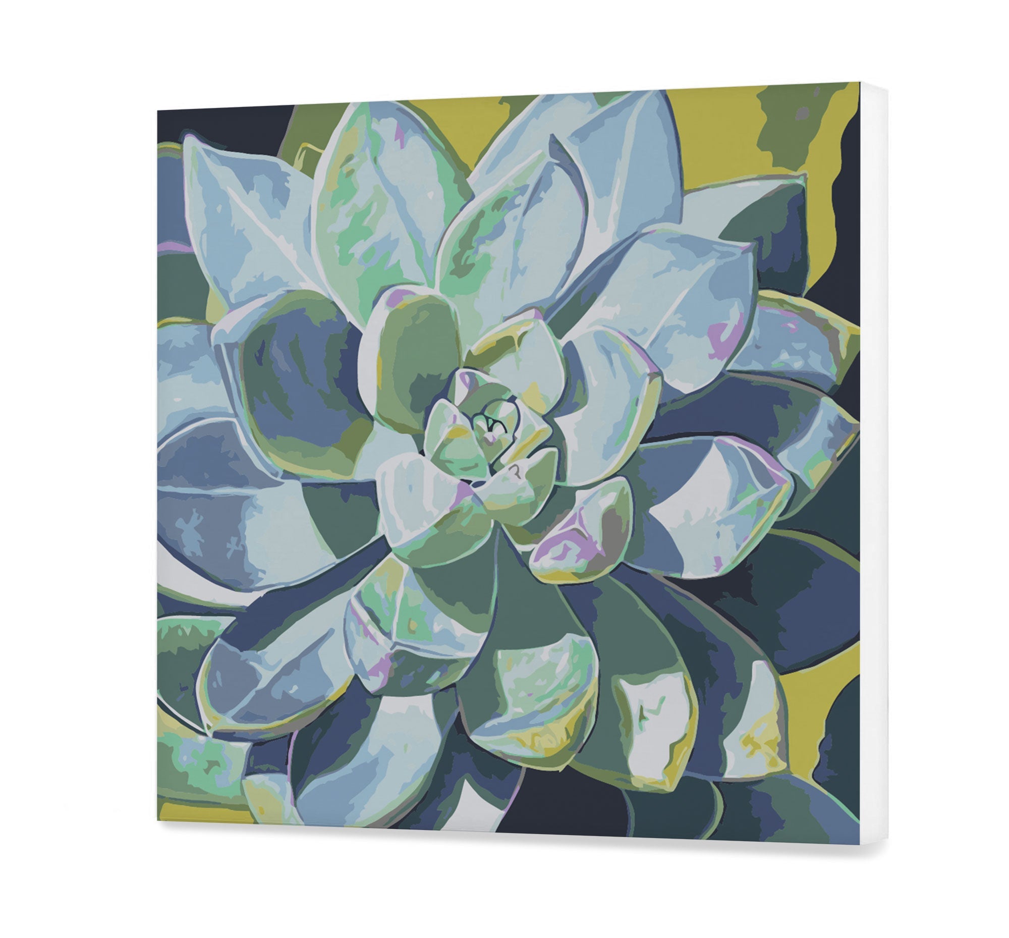 Sukulentná rastlina