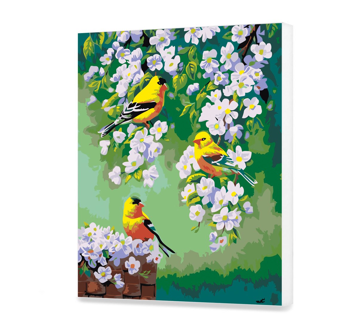 Malovanie podla cisel - Malé Vtáky Na Pobočke