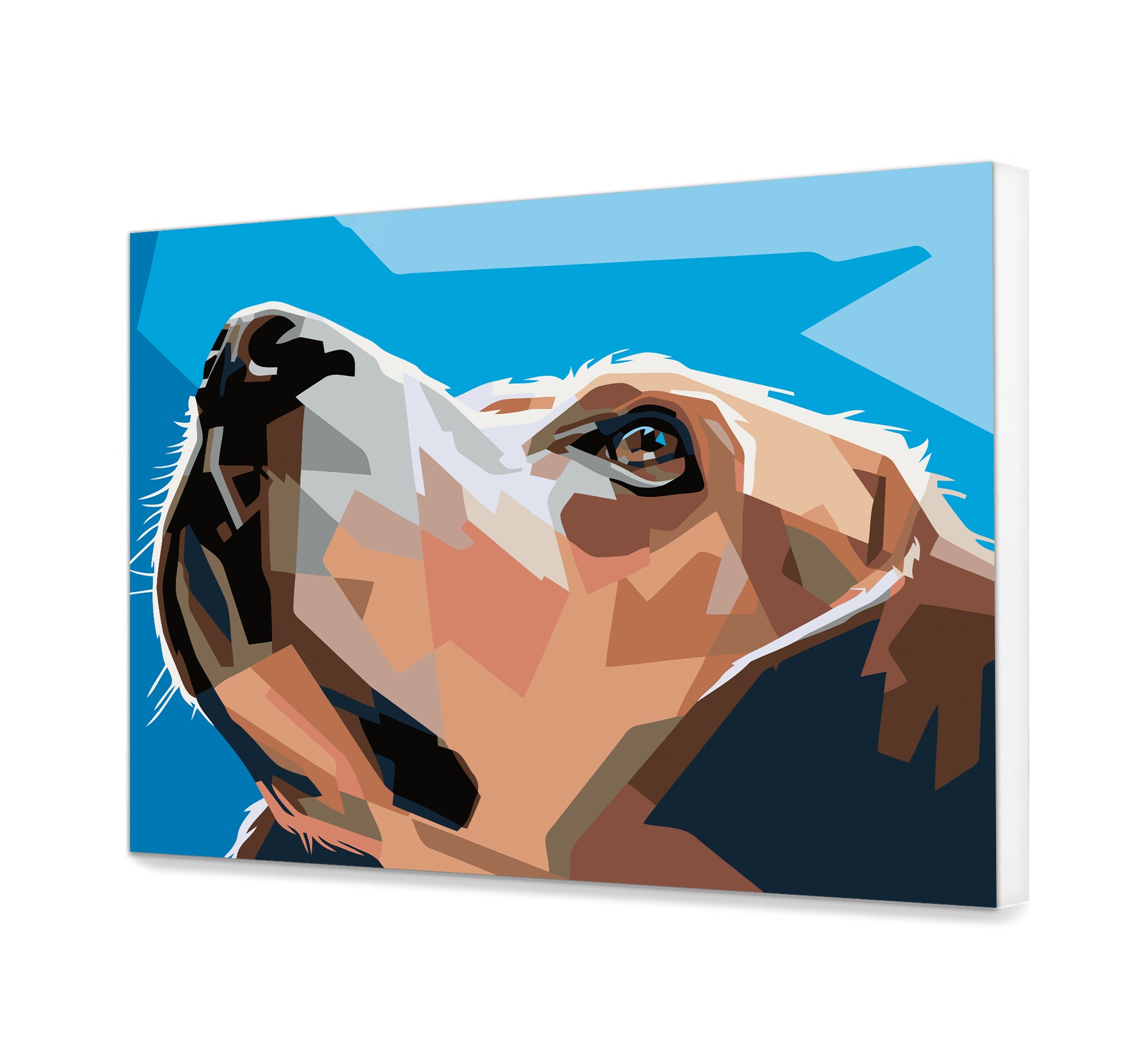 Najlepší Priatelia Človeka