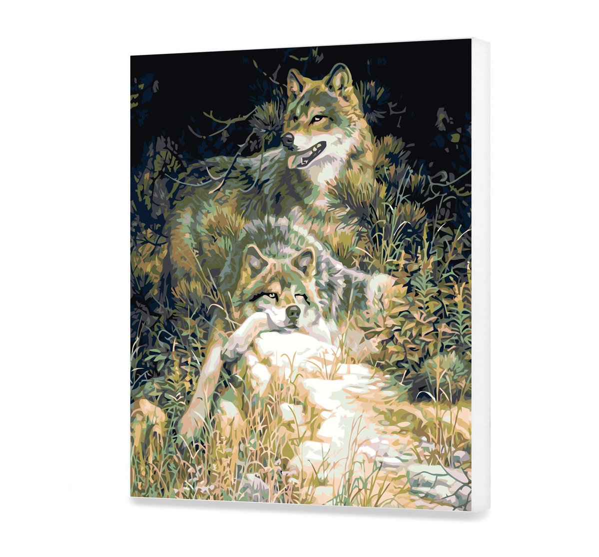 Malovanie podla cisel - Bieli Vlci