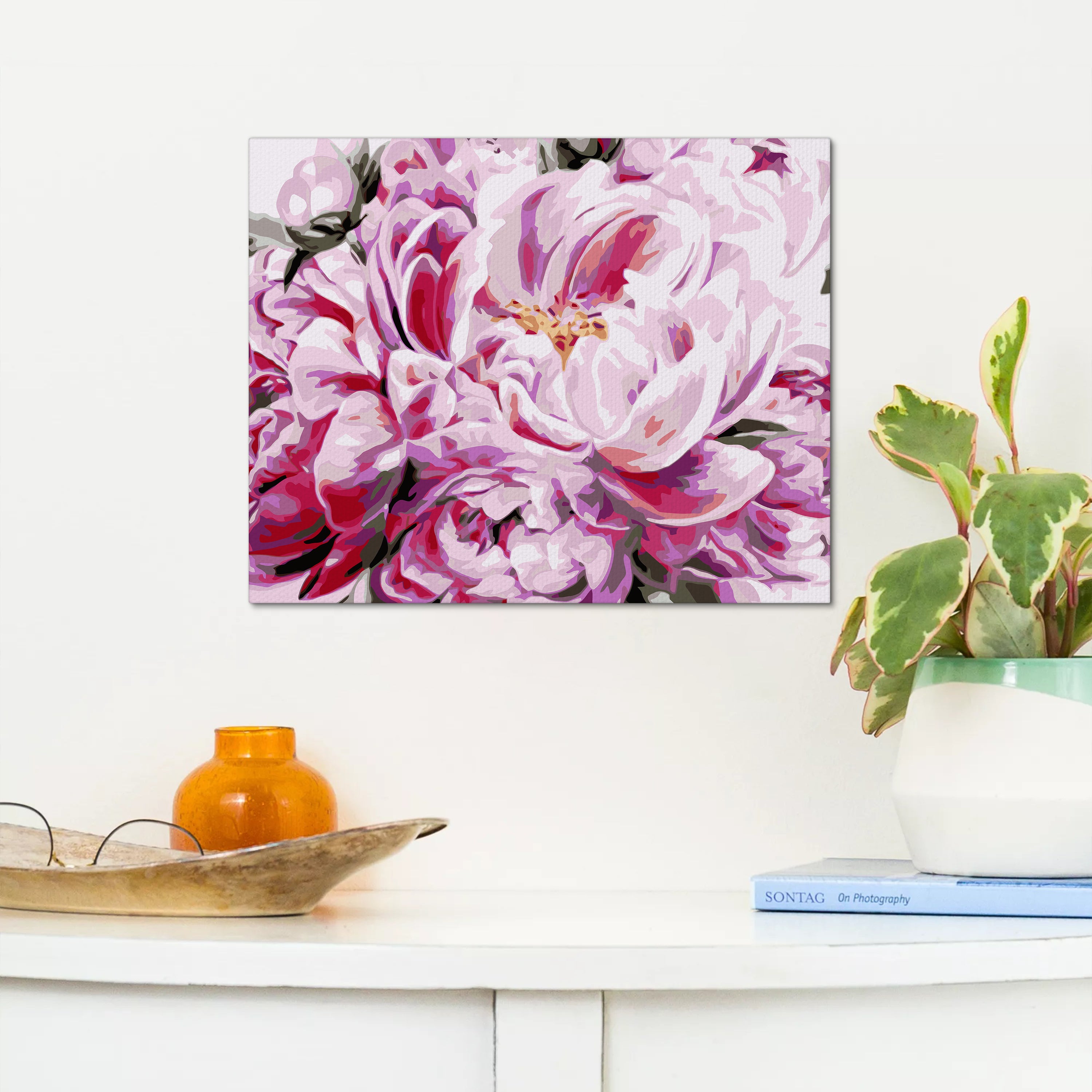 Kvet Ružovej Pivonky