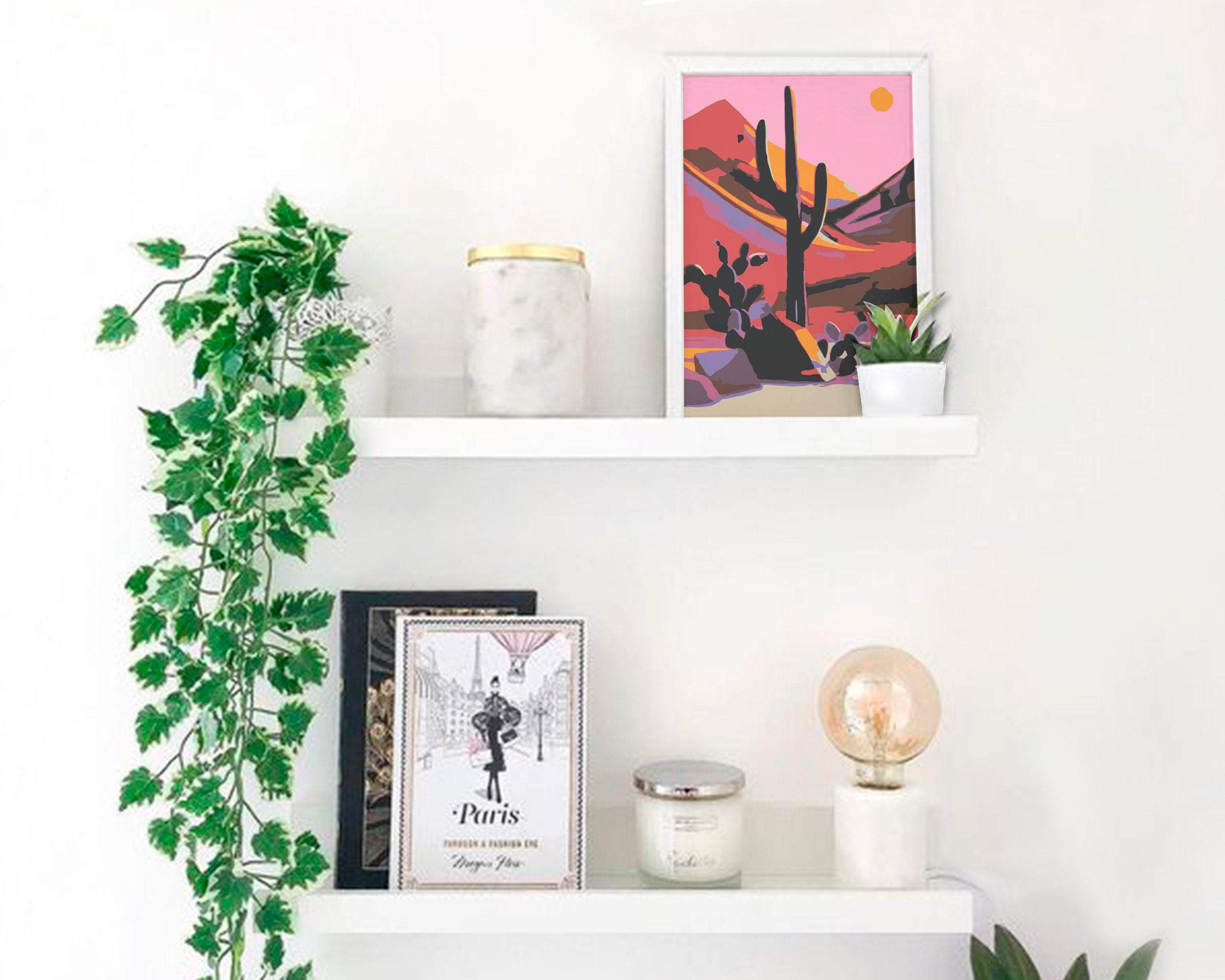 Kaktus V Mexickej Púšti