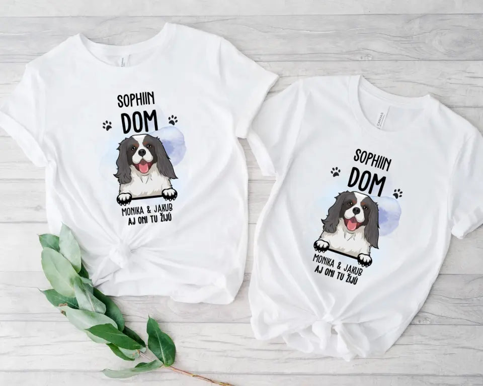 DOM. Aj oni tu žijú