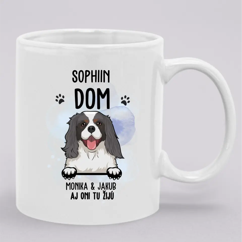 DOM. Aj oni tu žijú