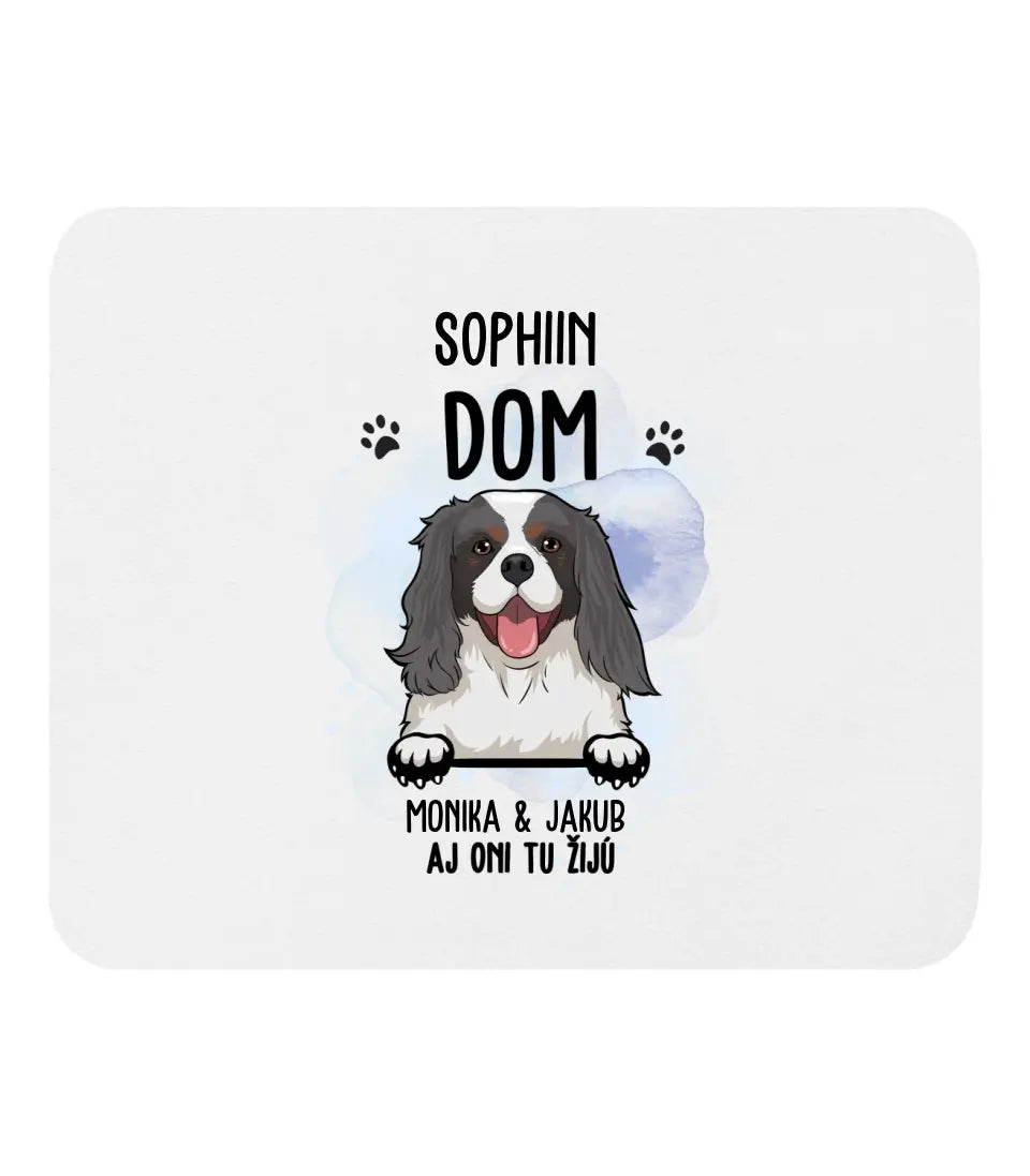 DOM. Aj oni tu žijú
