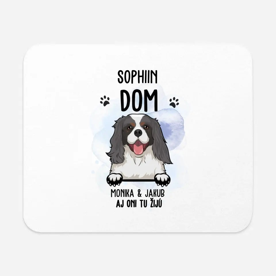 DOM. Aj oni tu žijú