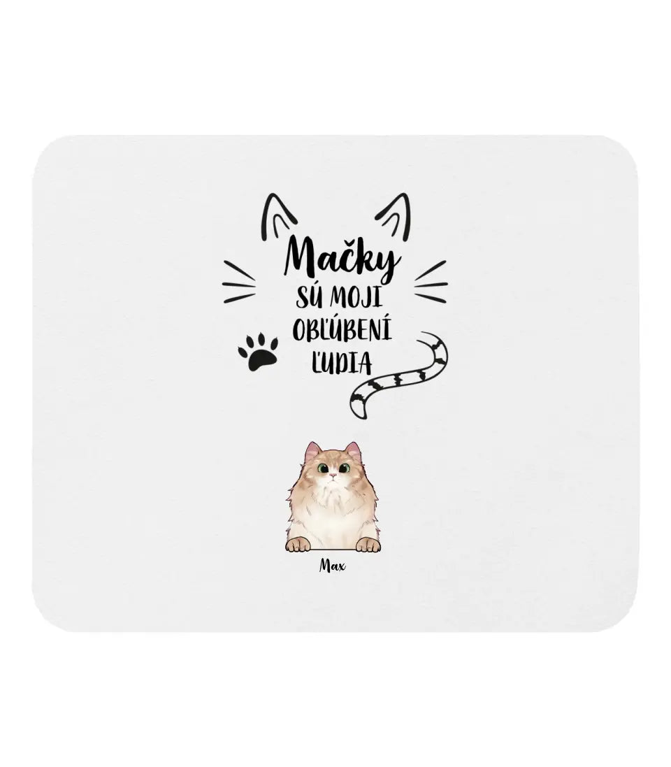 Mačky sú moji obľúbení ľudia