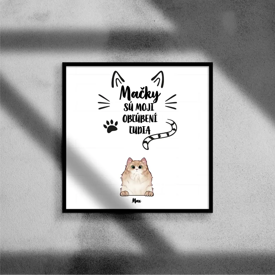 Mačky sú moji obľúbení ľudia