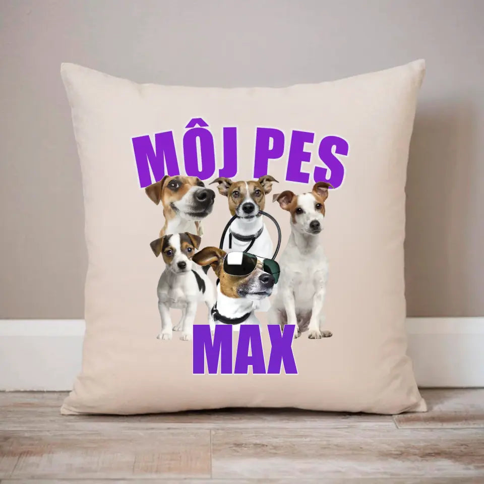 MÔJ PES