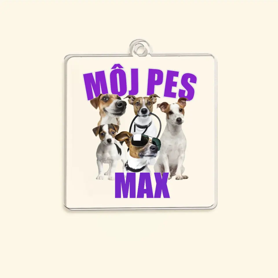 MÔJ PES