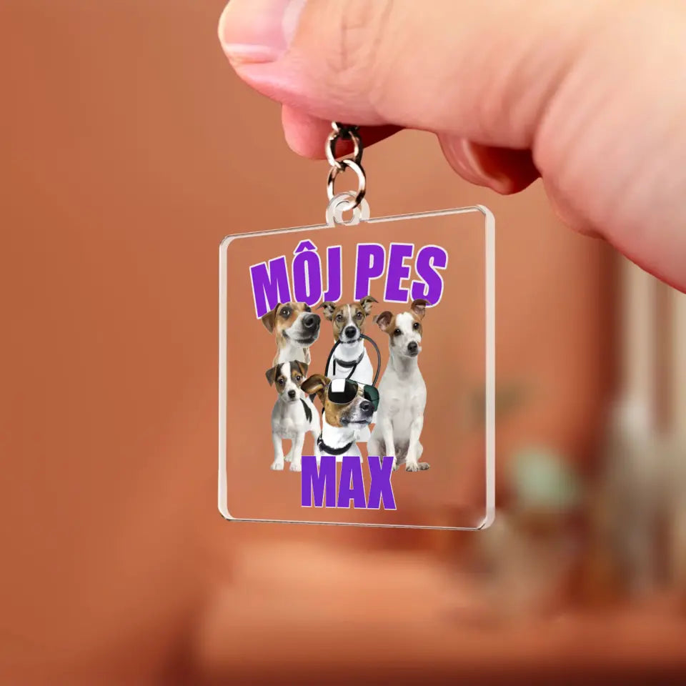 MÔJ PES