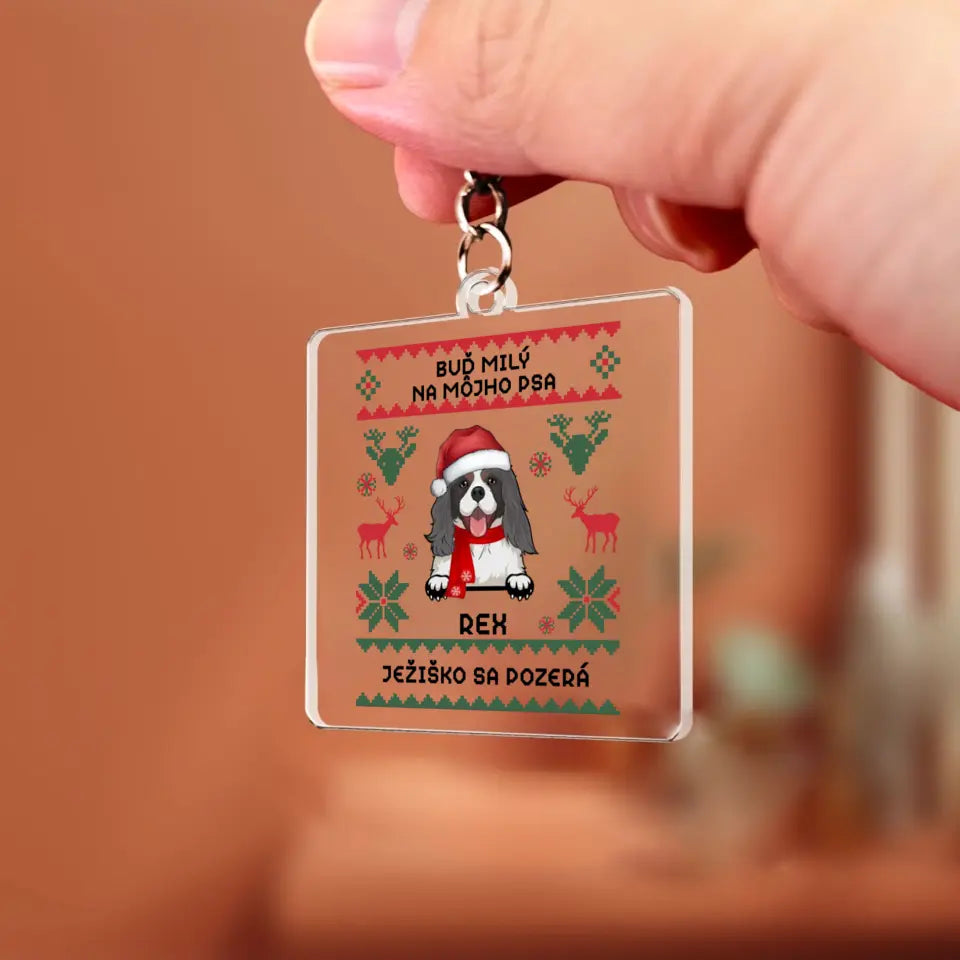 BUĎ MILÝ NA MÔJHO PSA. JEŽIŠKO SA POZERÁ
