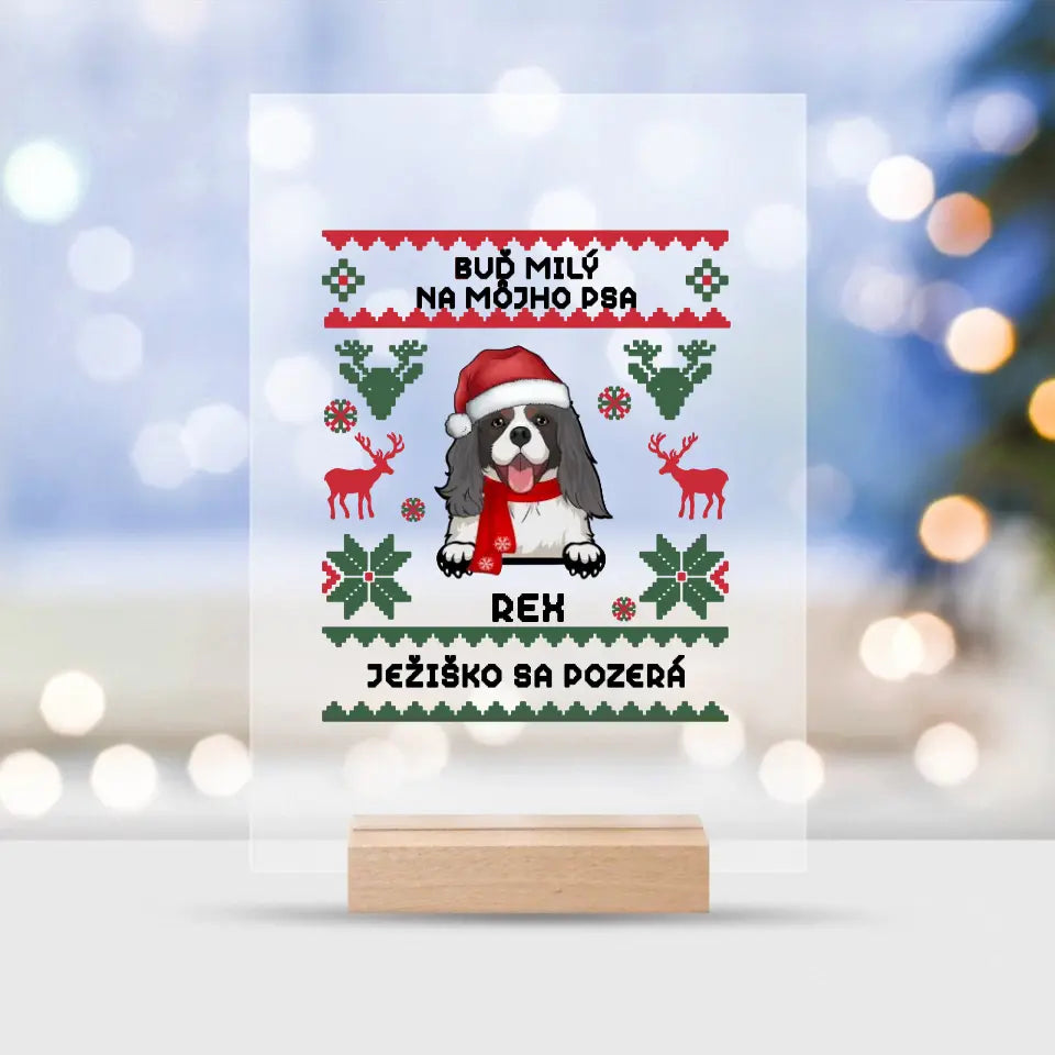 BUĎ MILÝ NA MÔJHO PSA. JEŽIŠKO SA POZERÁ