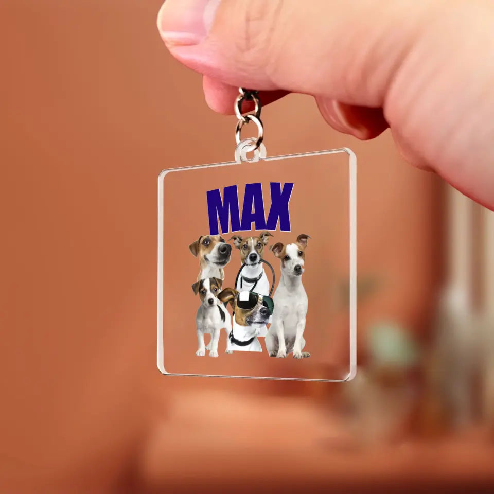 Môj domáci miláčik