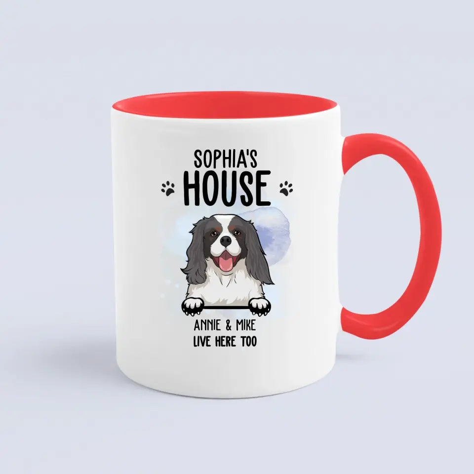 Dog House