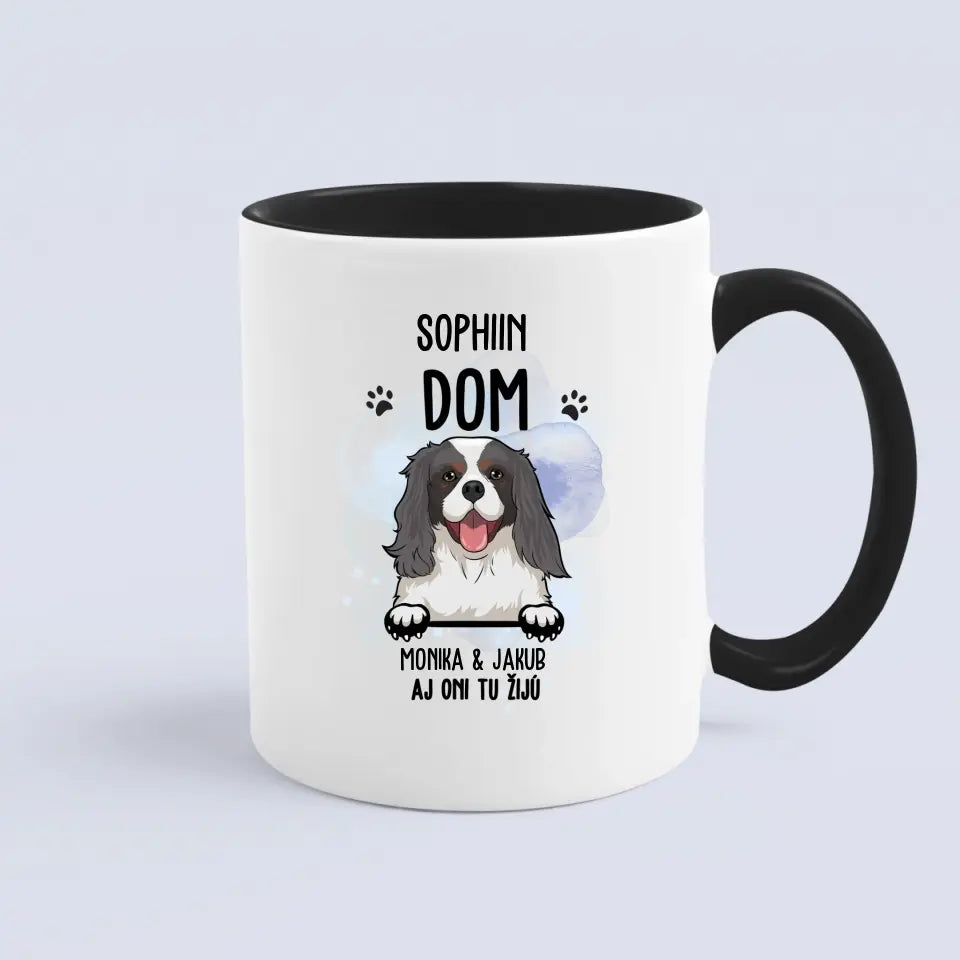 DOM. Aj oni tu žijú