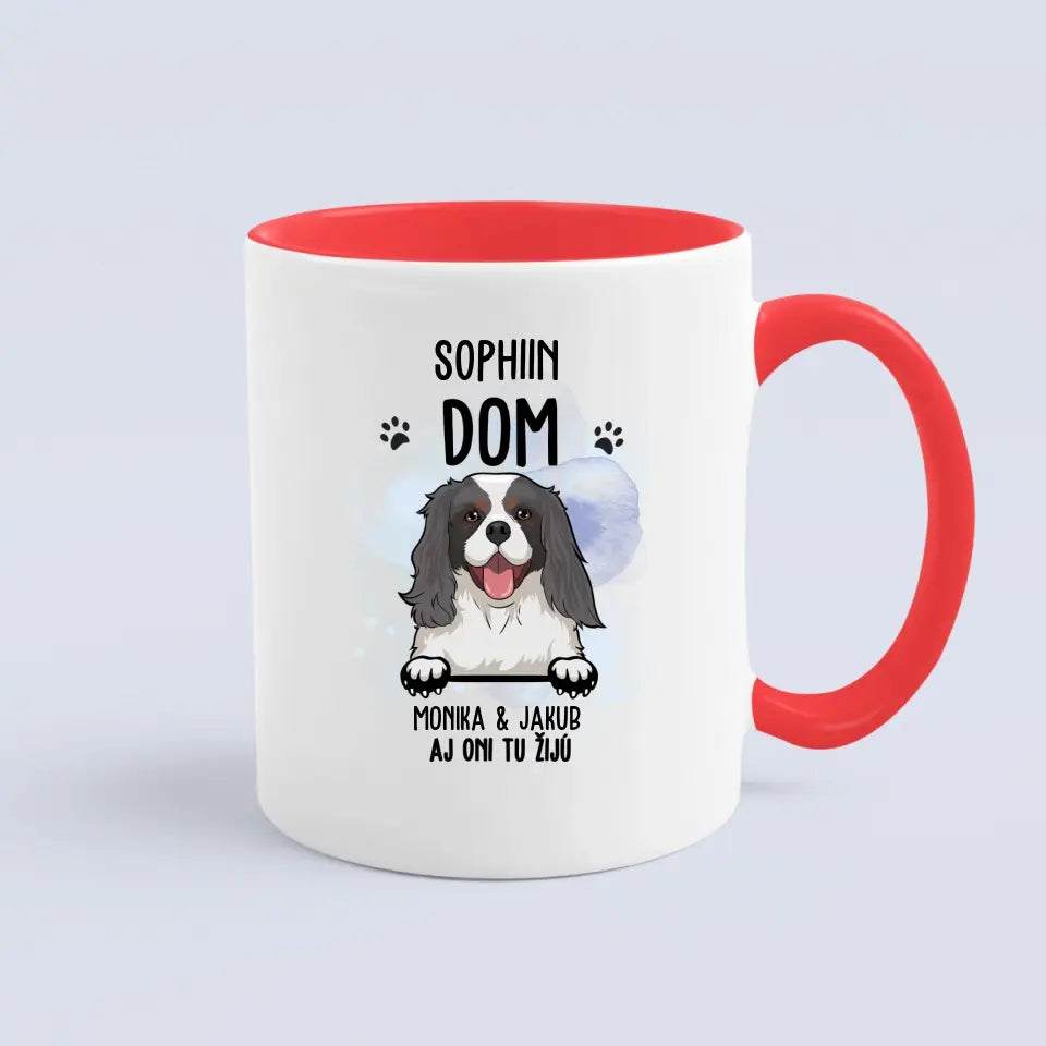 DOM. Aj oni tu žijú